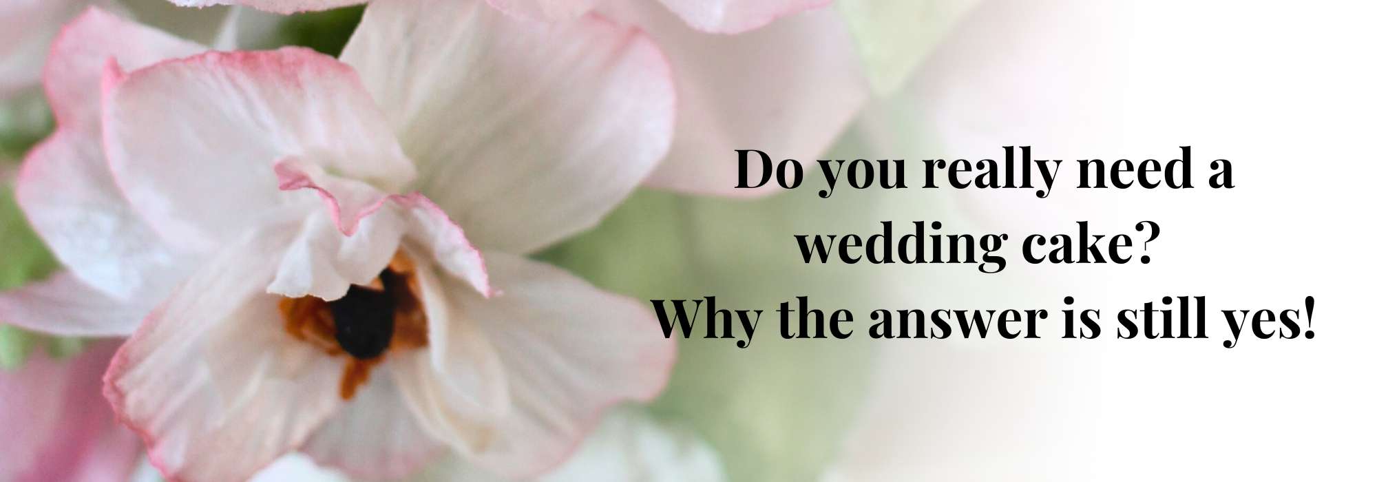 Do you really need a wedding cake? Why the answer is still yes! Newcastle wedding cake